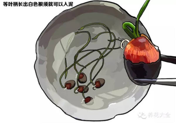 It is used to describe that someone is very careful.