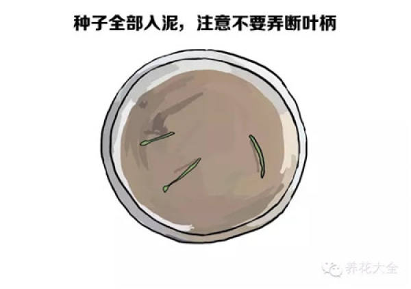 It is used to describe that someone is very careful.