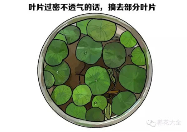 It is used to describe that someone is very careful.