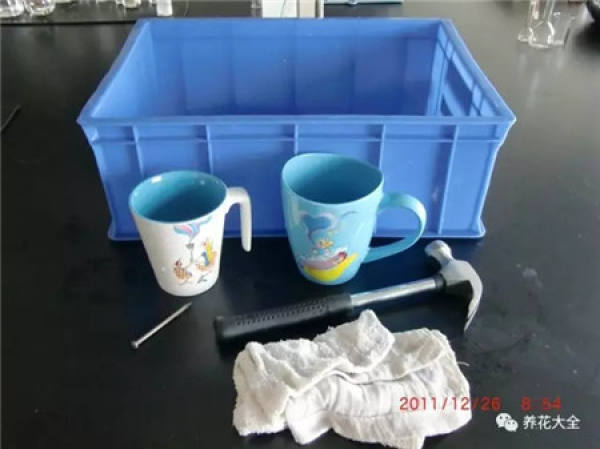 Cup for planting flowers