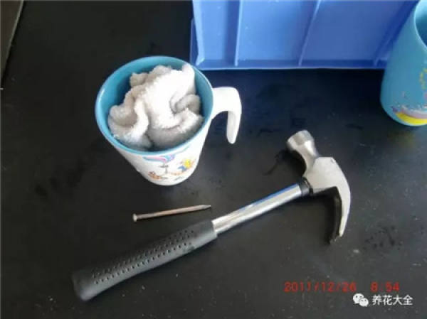 Cup for planting flowers