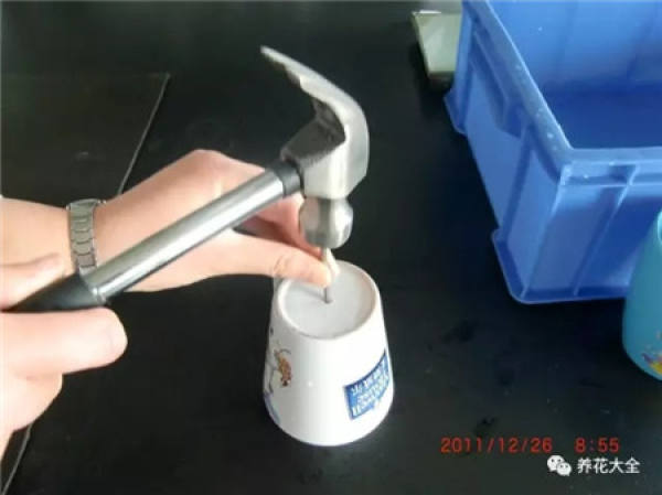 Cup for planting flowers