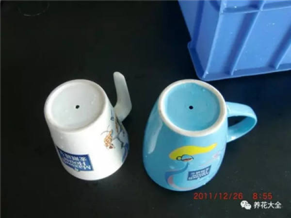 Cup for planting flowers