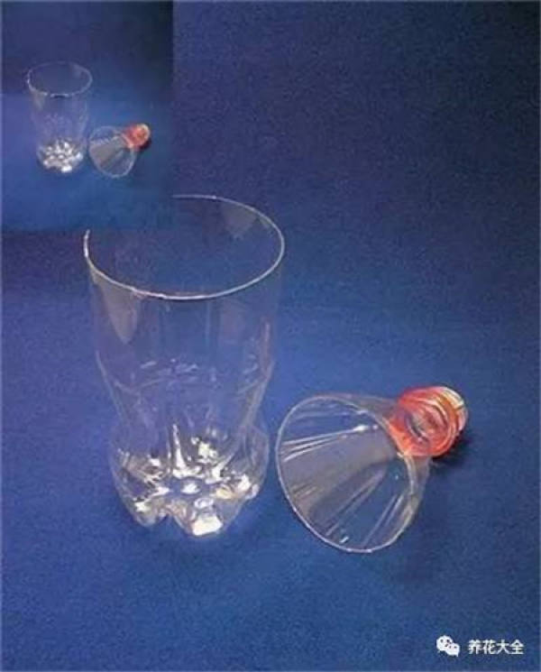Cup for planting flowers
