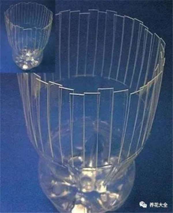 Cup for planting flowers