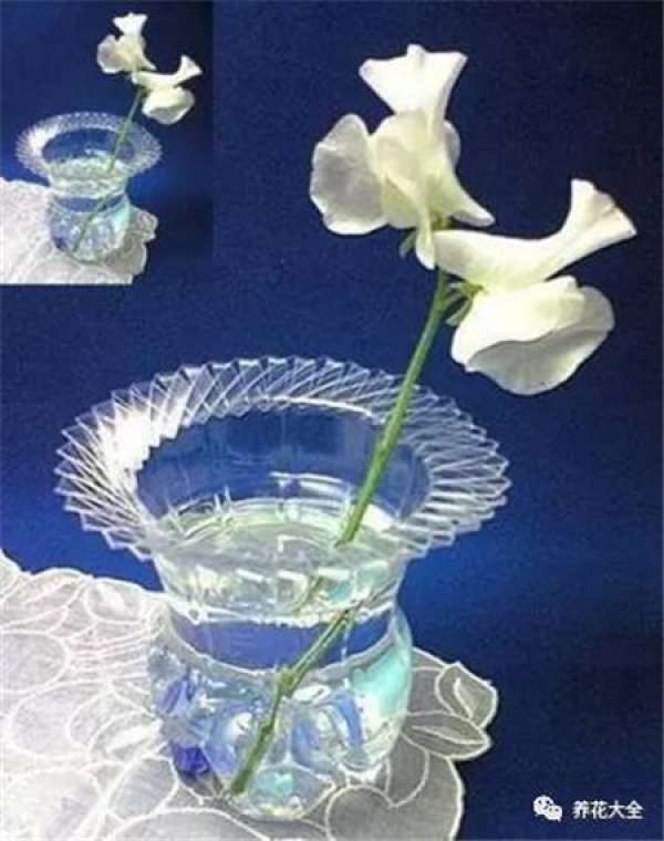 Cup for planting flowers