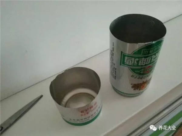 Cup for planting flowers