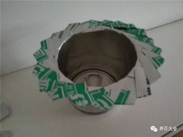 cup planting