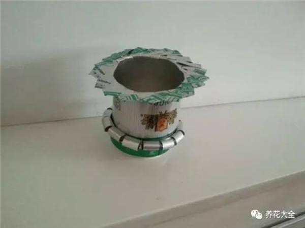 cup planting