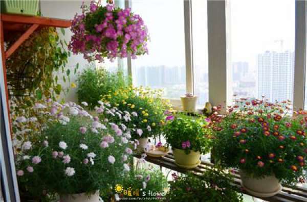 Herbal Garden Balcony Herbal Garden Balcony