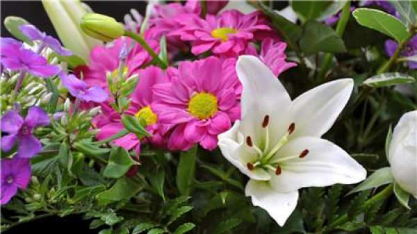 Fish culture wat watering flow method and applicable flower