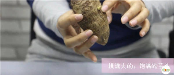 taro