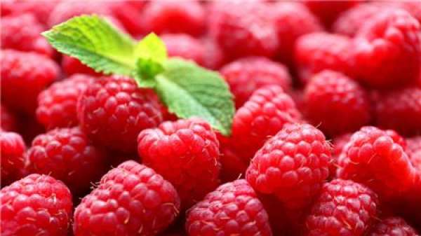 Appearance difference between raspberry and mulberry