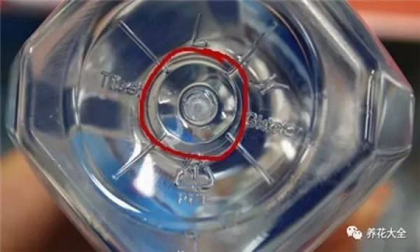 Plastic Bottle