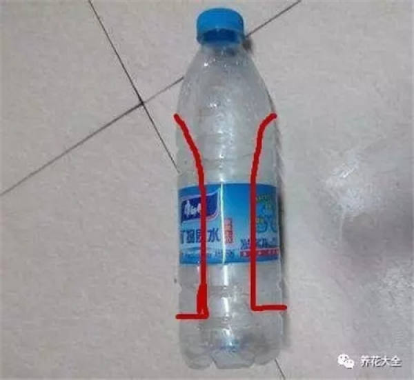 Plastic Bottle