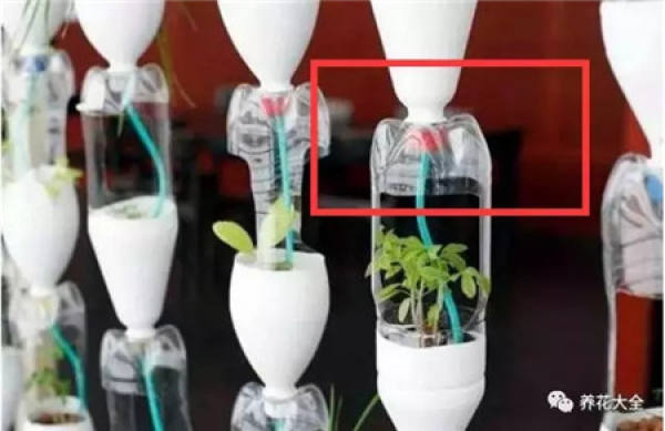 Plastic Bottle