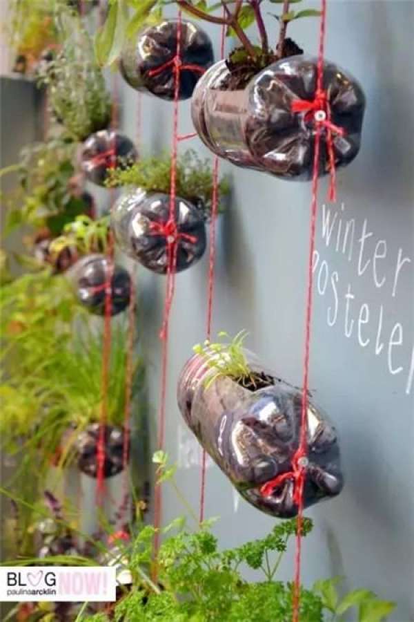 Plastic Bottle