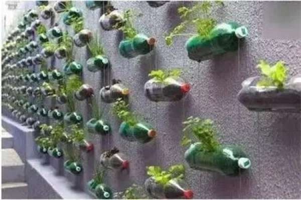 Plastic Bottle
