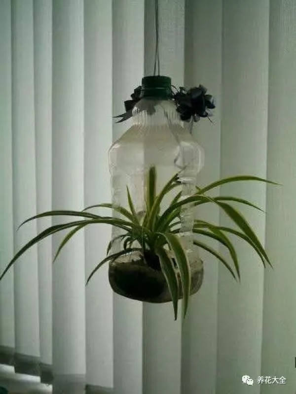 Plastic Bottle