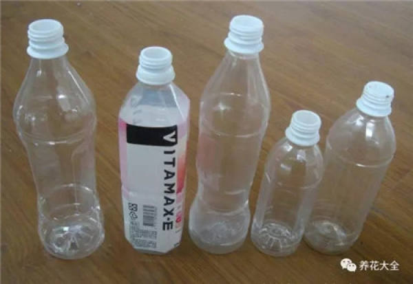 plastic bottle