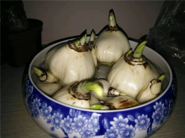 One yuan