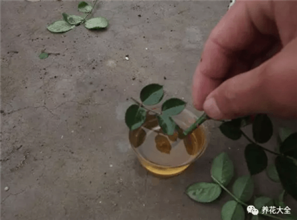 One yuan
