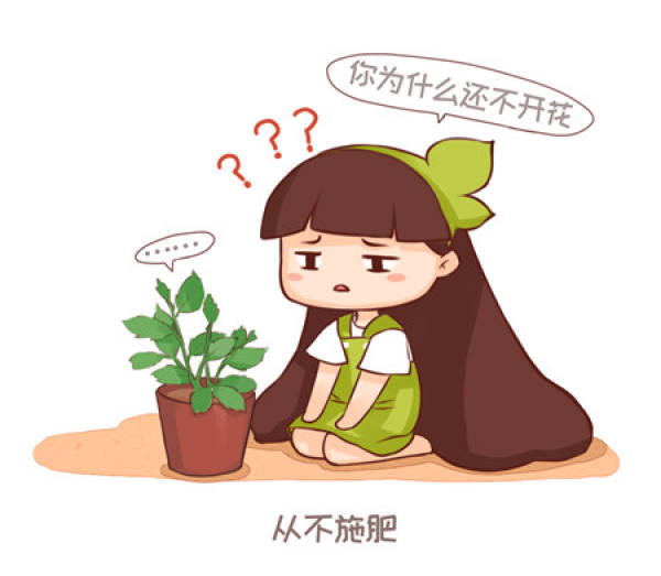 Use dirt as you like.
