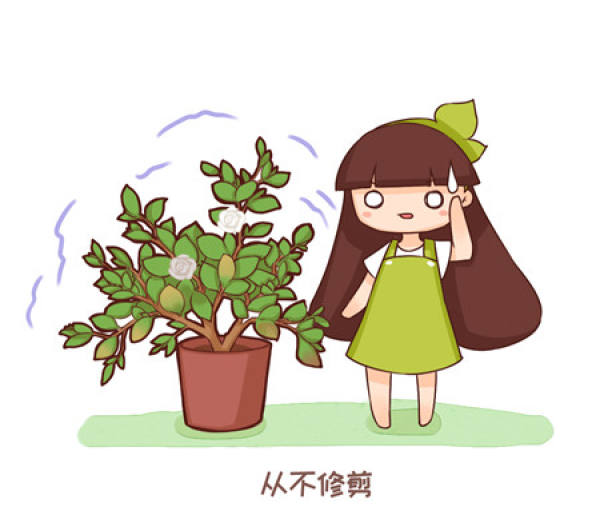 Use dirt as you like.