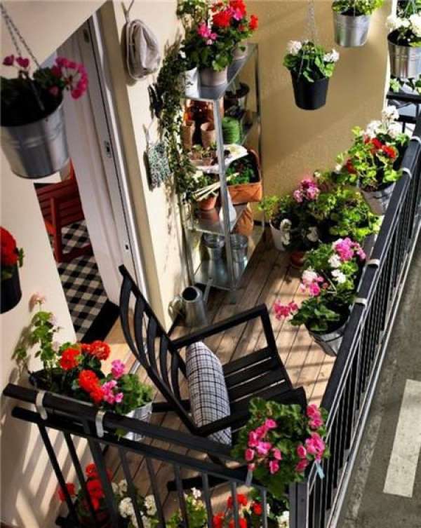 Balcony Garden
