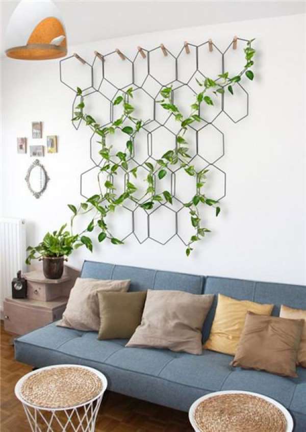 Scindapsus on the wall