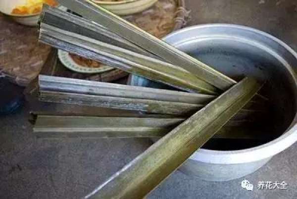 bamboo leaves