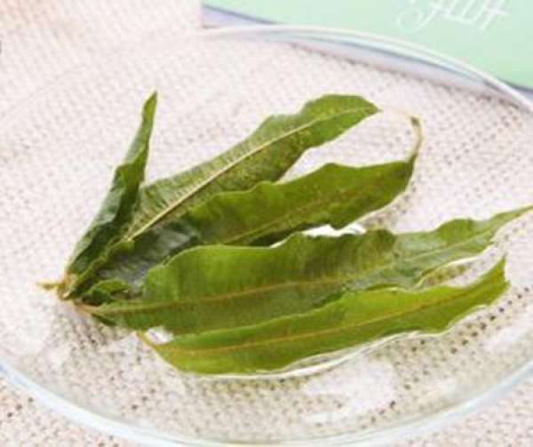 efficacy of Verbena tea efficacy of Verbena tea