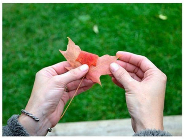 materials for maple leaves to make rose flower arrangement