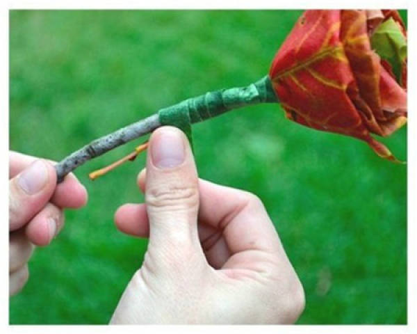 materials for maple leaves to make rose flower arrangement