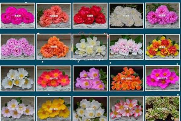 The kind of flowers that can't die