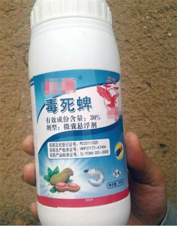 Chlorpyrifos Chlorpyrifos