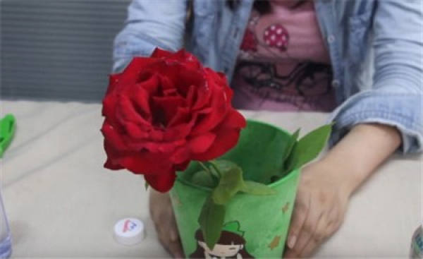 Fresh cut flower