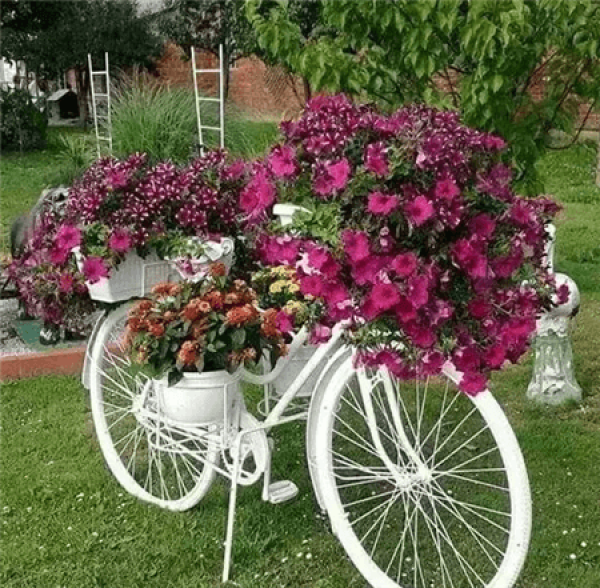 chair planting flowers