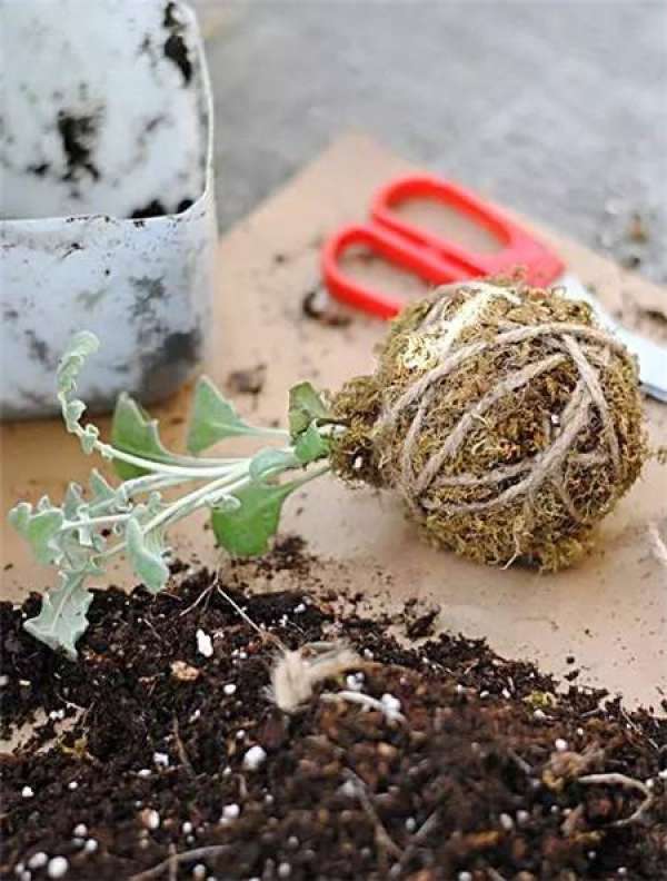 cotton thread wall