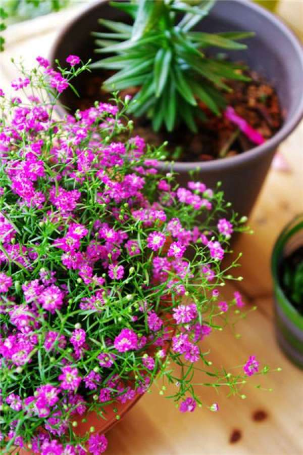 When is winter suitable for watering?