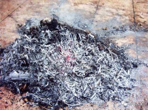 Plant Ash