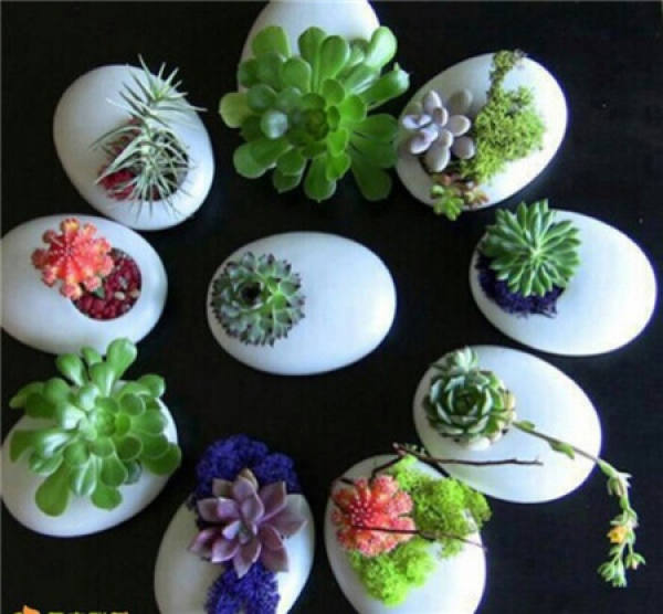 eggshell