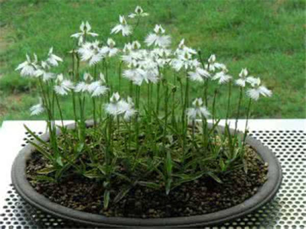 Habit