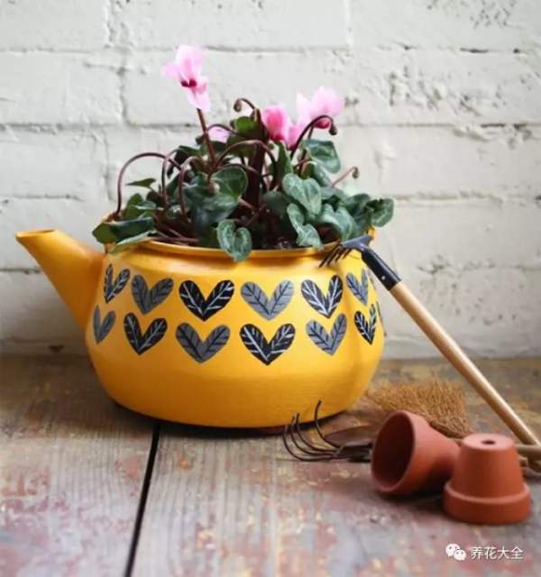 fish pot