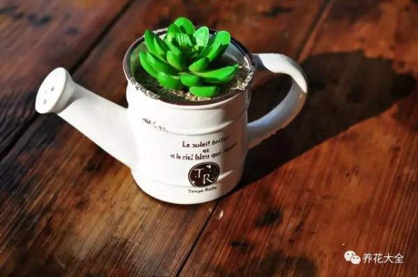 fish pot