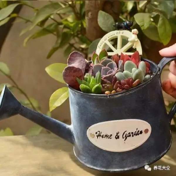 Kettle flowerpot