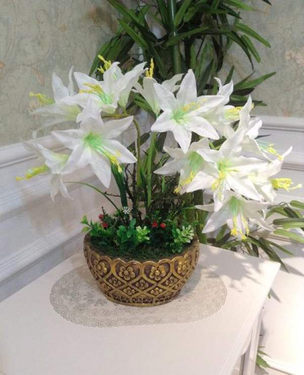 Southern potted Lily wintering method