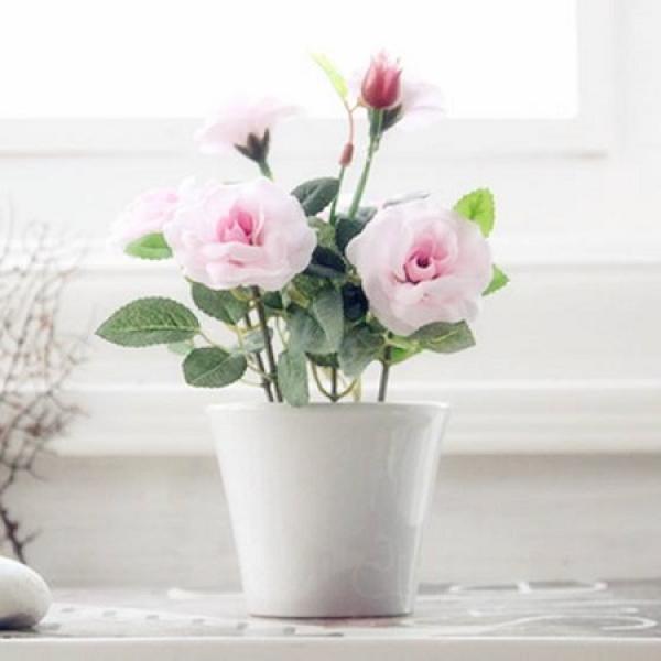 rose
