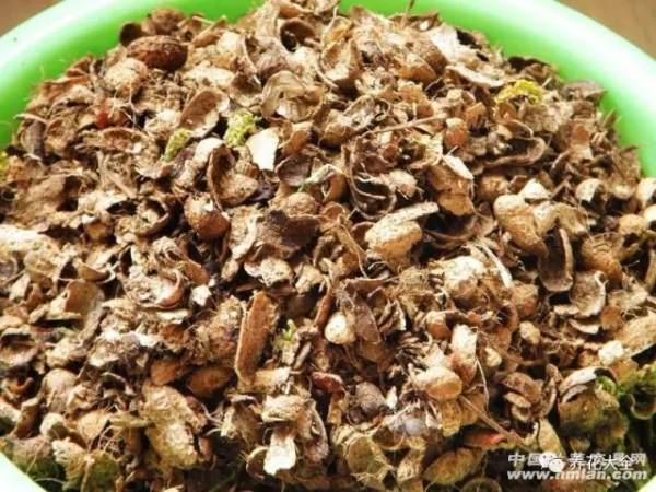 When mixing the soil, mix in the peanut shell, about put.