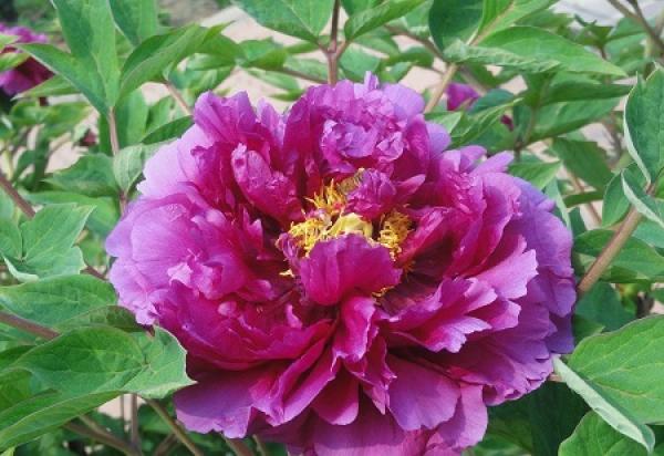 water loss water loss